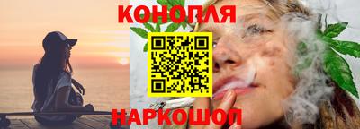индика Моздок